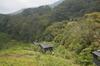 The Rainforest Ecolodge - Sinharaja