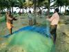 Bed & Breakfast Achayans Homestay Mararikulam