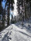 Apartamento Schwarzwald-ferienwohnungen Begert