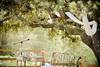 Agroturismo Masia Rural Cal Sim�