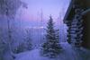 Apartamentos Holiday Club Ruka Cottages