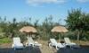 Bed & Breakfast Casale Millesoli