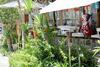 Hostal Rochabus