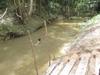 Jungle Explorer Lodge