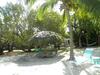 Posada Rock Reef Resort