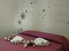 Bed & Breakfast Cofanomare