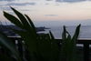 Bed & Breakfast Lognina