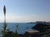 Hotel Villa Ortensia