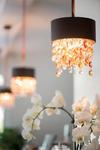 Hotel Au Faisan Dor�