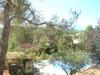 Bed & Breakfast L'or�e Du Bois