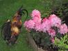 Bed & Breakfast Le Relais De La Tour