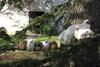 Bed & Breakfast Le Relais De La Tour