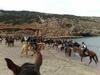 Centro Di Turismo Equestre B&B Shangril�