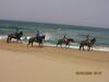 Centro Di Turismo Equestre B&B Shangril�