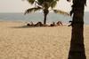 A Beach Symphony