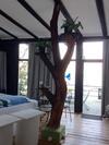 Apartments Excelsior