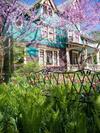 Bed & Breakfast The Murphy House