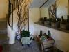 Hostal Affittacamere Andretta