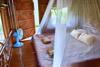 Micky Monkey Beach Hotel