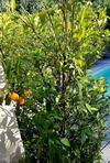 Bed & Breakfast Le Mas De Marie