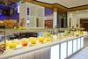 Hotel Hilton Paris Charles De Gaulle Airport