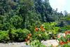 Bed & Breakfast Ecotravel Cottages Bukit Lawang