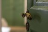 Bed & Breakfast Kefa Holiday - Palazzo Villelmi