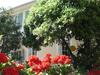 Hotel Victorine