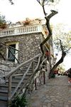 Bed & Breakfast Casarufolo Paradise