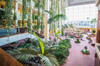 Hotel Beatriz Costa & Spa