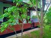 Hostal Sigiri Charuka Resort