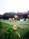 Kampong Pak Ali