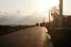 Oceantree House