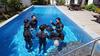 Oceantree House