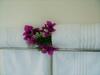 Homestay De Bruyn