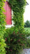 Bed & Breakfast La Clef Du Bonheur
