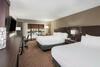 Hotel Holiday Inn At Six Flags Saint Louis