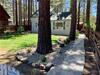 Larch Cabin