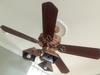 Albergue Hk Austin
