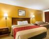 Motel Econo Lodge Fredericksburg