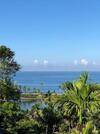 Hotel Vivanta By Taj - Green Cove