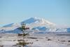 Skei�vellir Villa
