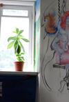 Hostal Euphoria