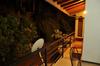 Hostal Kendiya Resort