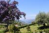Hostal Quinta Do Bento