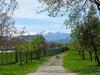 Hotel H�tel La Rocade