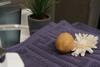 Apartamento Triumph Inn