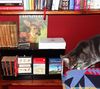 The One Cat B&B