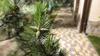 Hostal Villa Sosnovy Bor