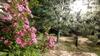 Hostal Villa Sosnovy Bor